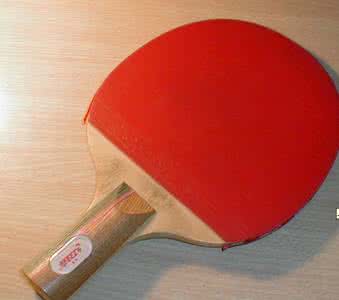 乒乓球拍什么牌子好 乒乓球拍什么牌子好 什么样的球拍才适合自己