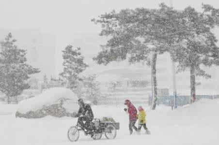 走进唐诗宋词作文 一场大雪，飘进了唐诗宋词。