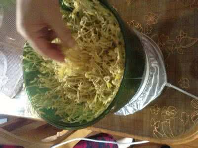 食品安全国家标准豆芽 食品安全：如何鉴别化肥浸泡过的豆芽