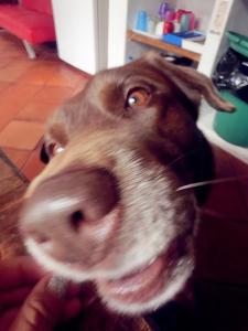 眼睁睁的看着你 眼睁睁的看着你 痛心，爸爸眼睁睁看着2岁女儿被烧死在车内！