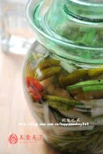 家庭式外卖成功案例 《家庭泡菜100例》