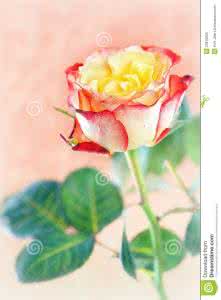 长短针绣 绣色可餐  只有长短针和轮廓绣的玫瑰故事