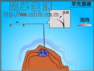 放长线钓大鱼 钓线配置若得当 大鱼立马嗖嗖上