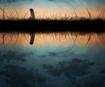 佛教心静美文 动然心静，美到窒息！