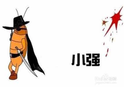 安速小强恢恢蟑螂屋 与“小强”作斗争 家居防蟑螂超有效7招