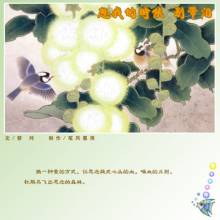 想我的时候,别带泪