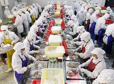 水产品价格上涨 2015年中国水产品出口面临饲料价格上涨压力