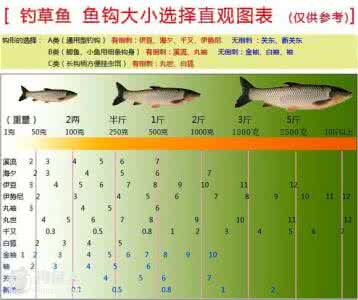 草鱼习性简介和钓法详解