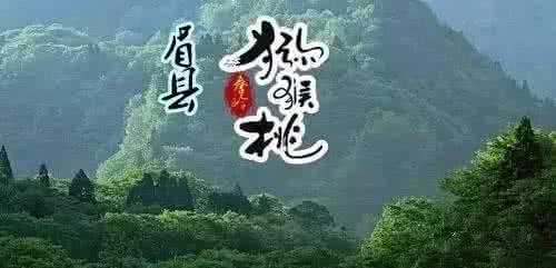 眉县县长武勇超的女儿 舌尖上的眉县