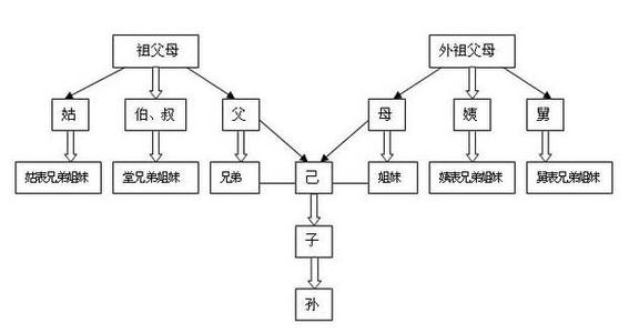 爷爷是亲兄弟 爷爷是亲兄弟关系亲吗？