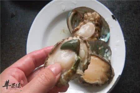 新鲜鲍鱼怎么挑选 怎么挑选新鲜的鲍鱼