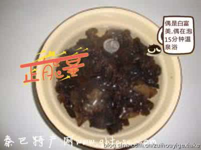 神奇宝贝五大龙系精灵 黑木耳的五大神奇功效