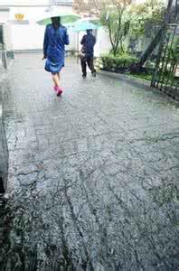 所有的雨都会停的作文 所有的雨都会停的