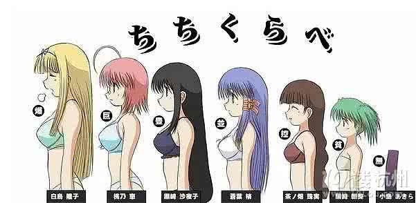 乳房的形状分类图 乳房形状透露你的爱情类型