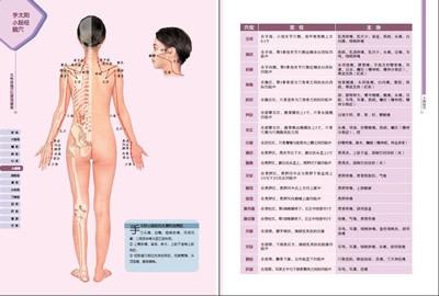3d女性经络学位图册 女性经络穴位高清图册 你对经络的认识,还停留在表层穴位吗?丨正安