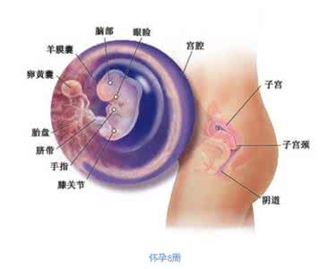 两个月内如何快速减脂 减脂两个月体重上涨 两个月内如何快速减脂？