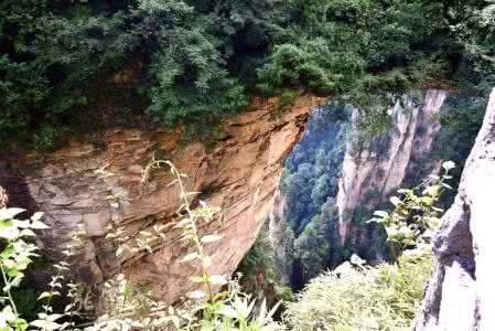 棒针模式 棒针模式----“古藤攀爬”