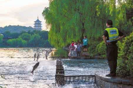 唐代诗人笔下的秦岭 诗人笔下的美景,你想不想去看看?