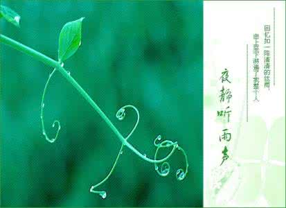 静听雨声的好句子 静听雨声作文400字