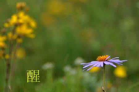 那句让人瞬间清醒的话 二十九句瞬间使你清醒的话！