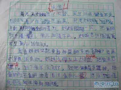 中考结束后干什么 2016中考零分作文：____并没有结束