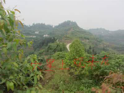 阴宅风水八大富贵格局 转载 阴宅风水:名局鉴赏