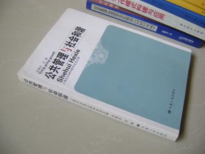 利率市场化进程 MPA论文之地方政府在市场化进程中的功能分析