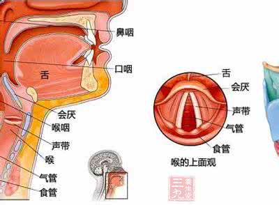 声带嘶哑怎么办 小伙嗓子嘶哑呕吐1周 原是声带关节脱位扭伤