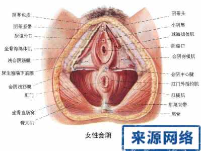 女性自慰会损坏处女膜吗？：自慰女性都不是处女