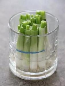 一年种菜时间表 一年种菜时间表 1%｜还浪费钱干什么 这几种菜买一次够吃一年