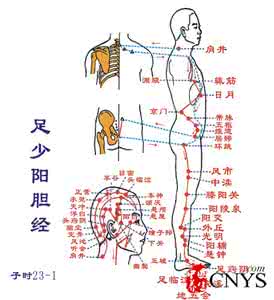 气血不足刮哪个部位 中医教你从12个部位看气血足不足~