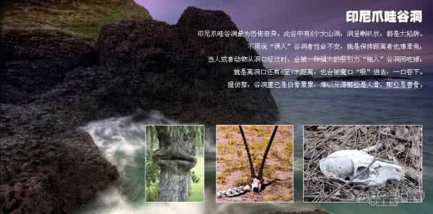 死亡禁区 恐怖禁区小说 中国最恐怖的四大死亡禁区 死亡禁区的位置
