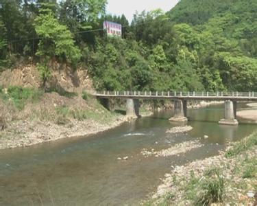 崇阳县金塘镇 崇阳县金塘镇畈上村 崇阳畈上——柃蜜小镇