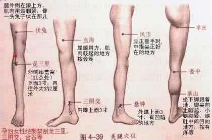 按摩那个部位补肾壮阳 穴位养生按摩