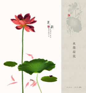 夏荷与秋凝决斗 夏荷