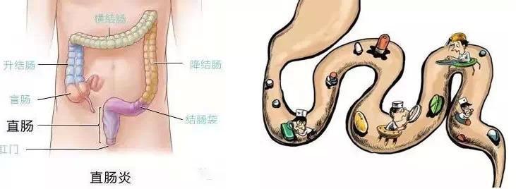 人体毒素的主要来源 为何现代人体内毒素这么多?