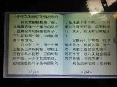 描写秋天的作文500字 描写夏天的作文500字
