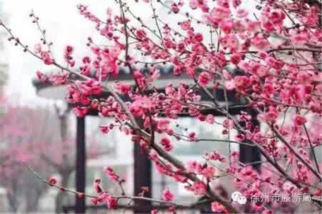 面朝大海春暖花开 相逢，若春暖花开