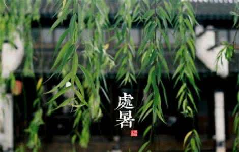 葱须生姜的功效与作用 神效奇方--鲜葱、姜治病方