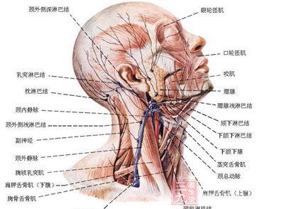 治外阴痒的妙招 预防外阴疾病的妙招