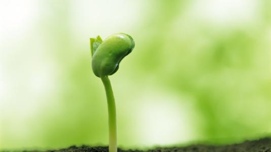 让人心智成熟的书 书单推荐||哪些书可以使人心智成熟!