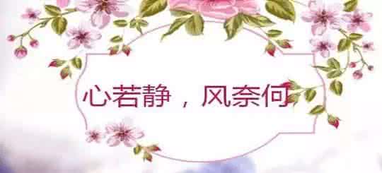 心若静 风奈何 心若静,风奈何。