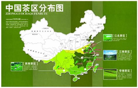 中国茶的分类 《中国茶的品类与名茶》