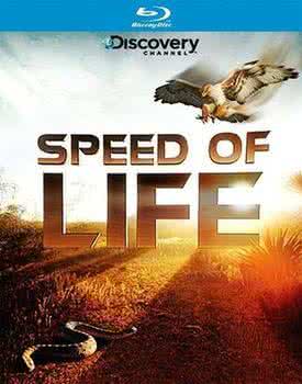 探索频道出海捕鱼节目 探索频道(Discovery Channel)评选出英国人的终极梦想旅游地