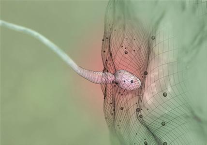 精子和卵子怎么结合 精子和卵子怎么结合 想怀孕？先把精子和卵子的质量提上去再说！