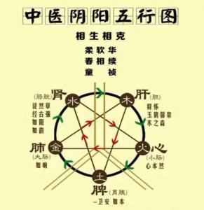 中医五行学说与五脏 中医细说五脏