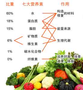 特朗普批评盟友 当营养素遇上“盟友”。效果翻倍！