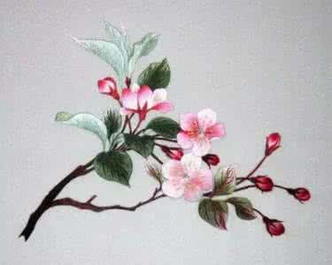 刺绣图案简单花朵 刺绣｜简单也很美