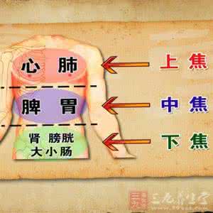 五脏六腑的健康密码 五脏六腑提醒你:为了健康,对照自查