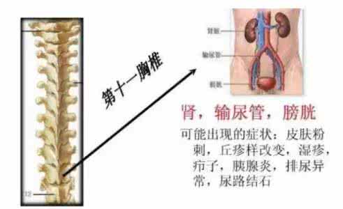 医院治疗腰椎疾病好吗 医院治疗腰椎疾病好吗 【干货】腰椎疾病检查诊断法,值得收藏 !